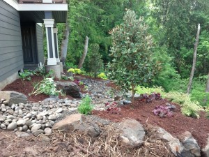 A dry creek bed with stones and plantings
