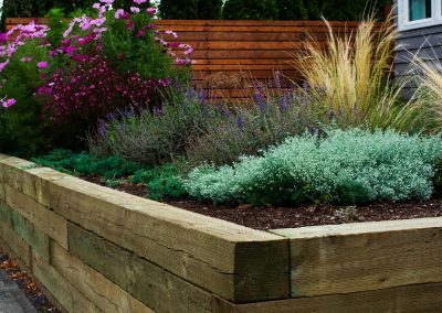 raised bed with perennial plantings